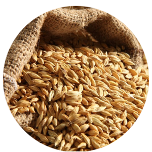 Combavipor - Siloz cereale pret cel mai bun